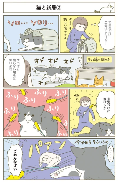 『うちの猫がまた変なことしてる。７』より