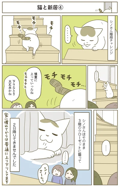 『うちの猫がまた変なことしてる。７』より