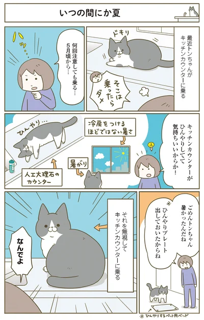 『うちの猫がまた変なことしてる。７』より