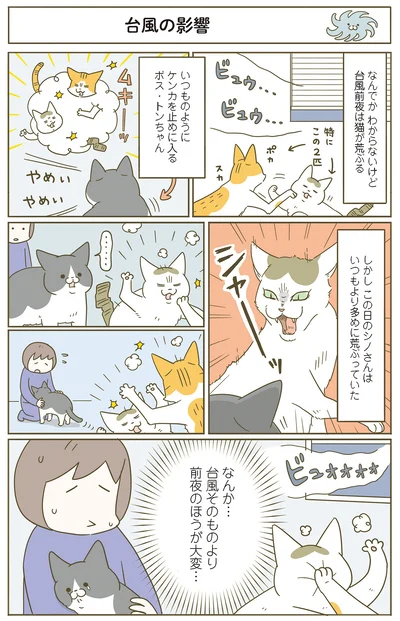 『うちの猫がまた変なことしてる。７』より