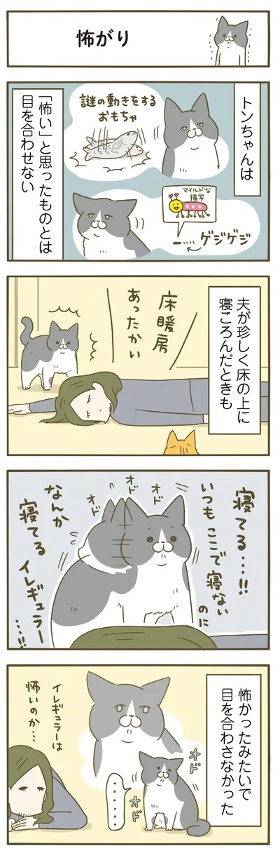 『うちの猫がまた変なことしてる。７』より