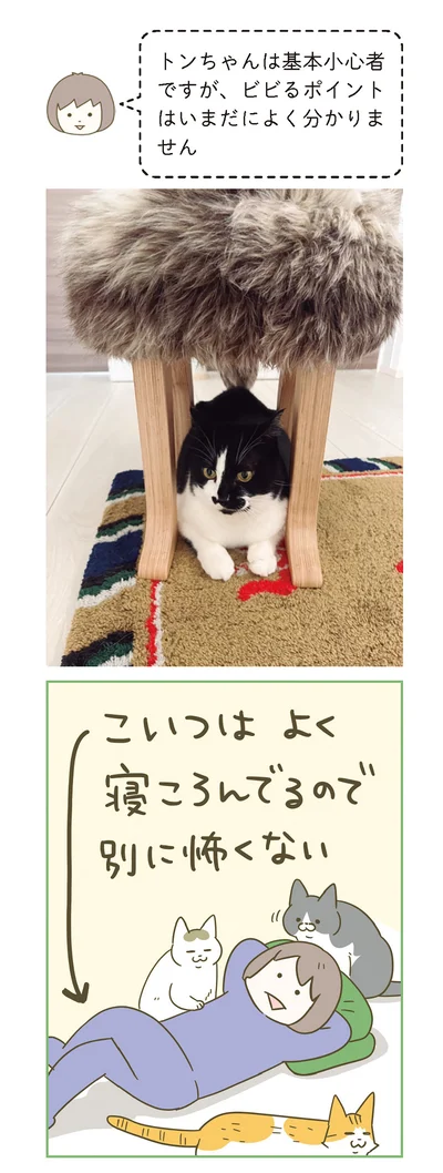 『うちの猫がまた変なことしてる。７』より