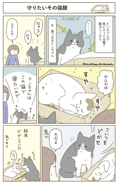 『うちの猫がまた変なことしてる。７』より