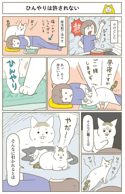 『うちの猫がまた変なことしてる。７』より