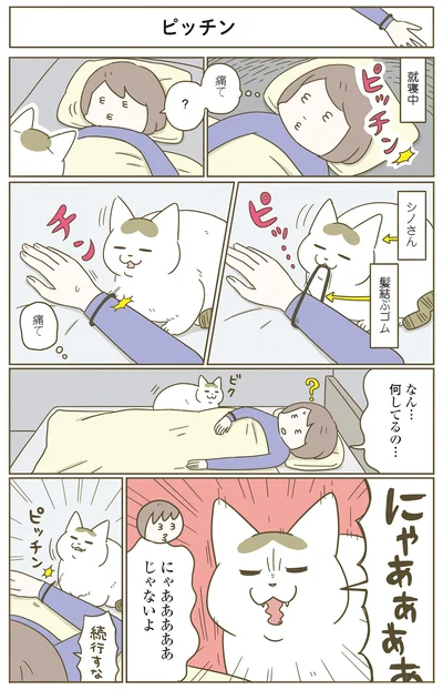 『うちの猫がまた変なことしてる。７』より