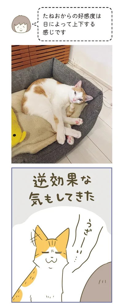 『うちの猫がまた変なことしてる。７』より