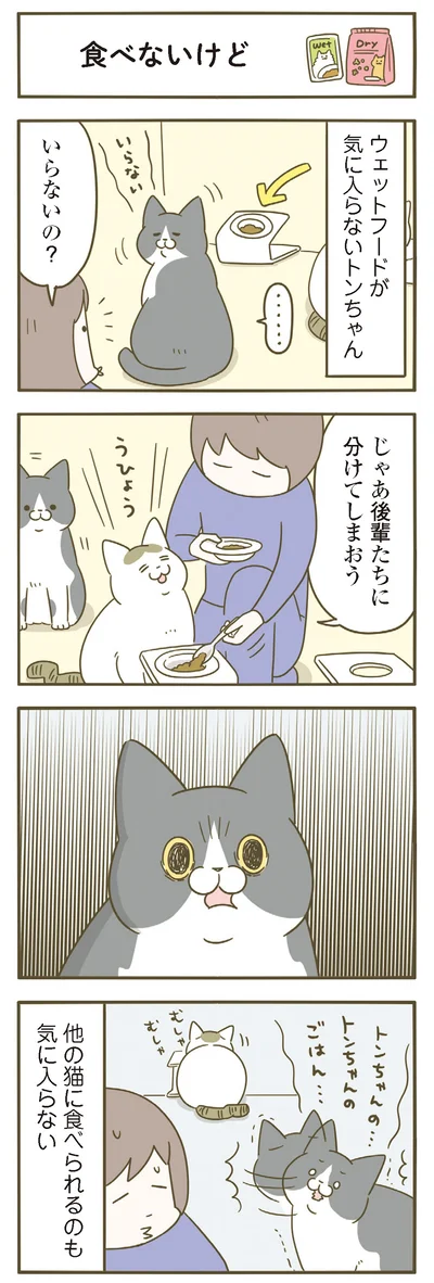 『うちの猫がまた変なことしてる。７』より