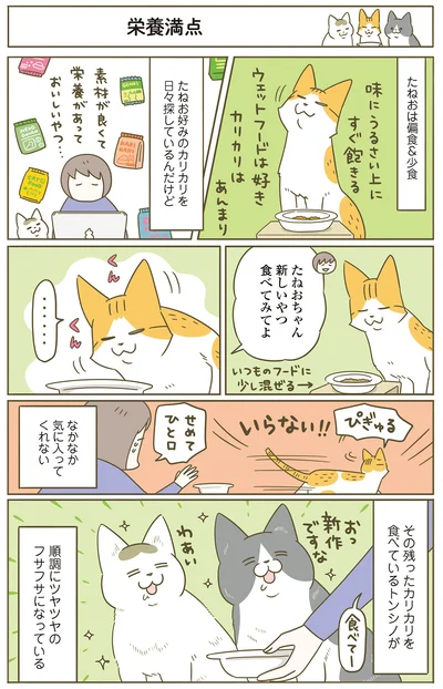 『うちの猫がまた変なことしてる。７』より