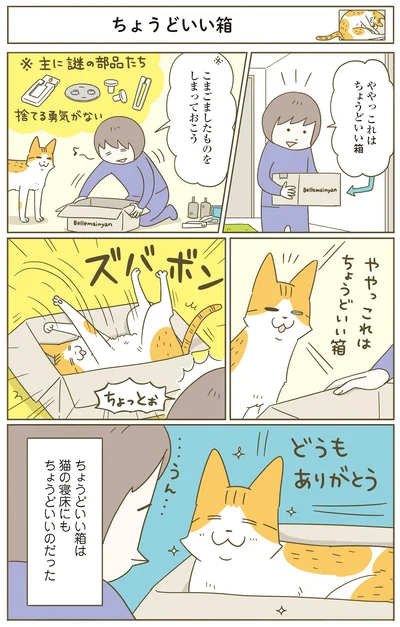 『うちの猫がまた変なことしてる。７』より