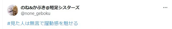 「#見た人は無言で躍動感を魅せる」投稿▶︎躍動感の正体は（⇒次へ）