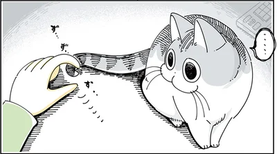 しっぽを真っ直ぐにされるネコ
