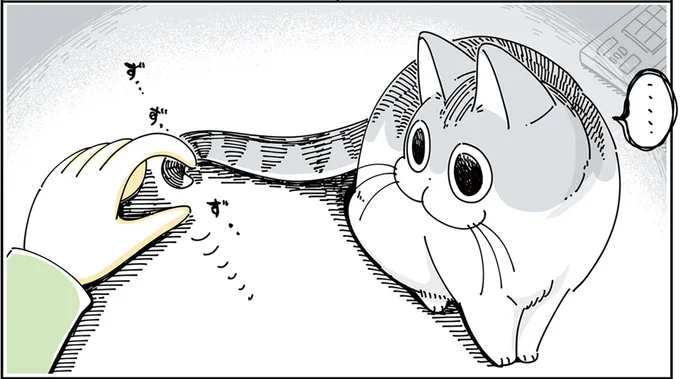 しっぽを真っ直ぐにされるネコ