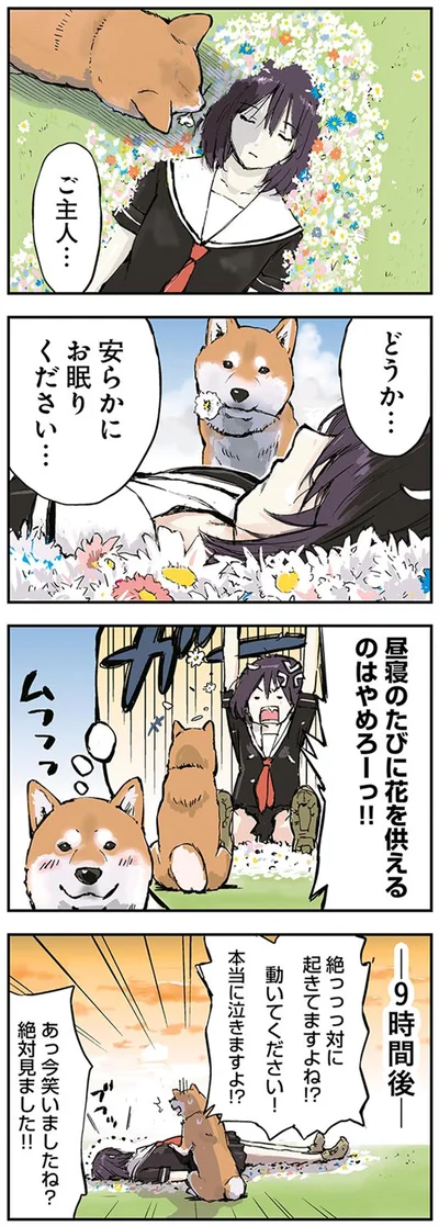 『世界の終わりに柴犬と』より