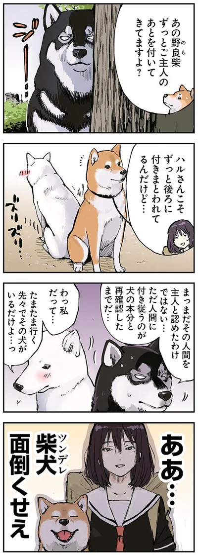 『世界の終わりに柴犬と』より