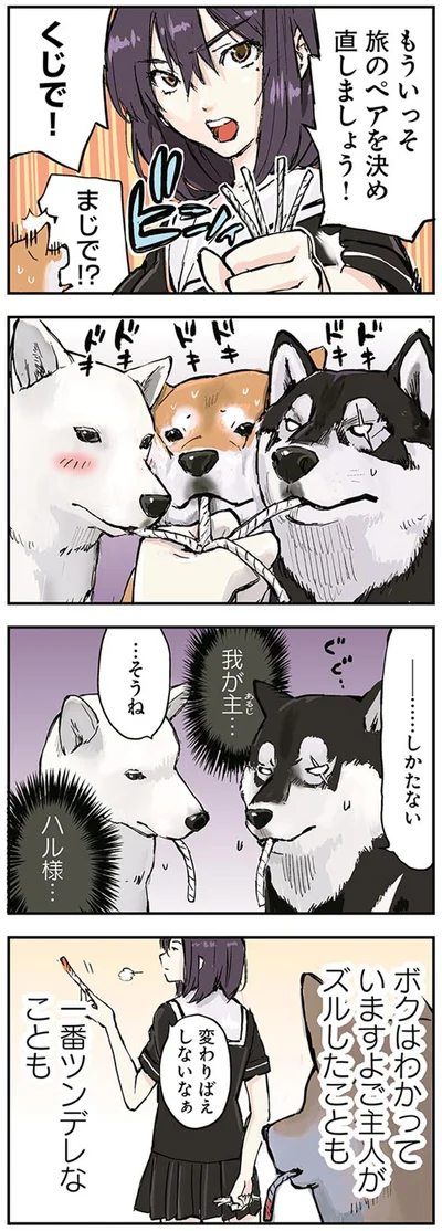 『世界の終わりに柴犬と』より