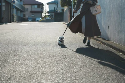 大きくなったと思っていたが、やっぱりまだ小さかったぬん坊くん▶次は世界との対比でその小ささが際立つぬん坊くんのポスト（⇒次へ）