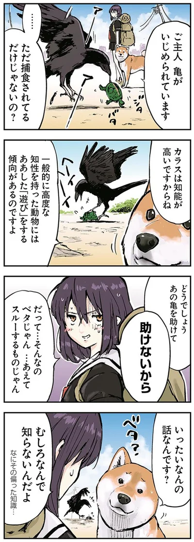 『世界の終わりに柴犬と』より