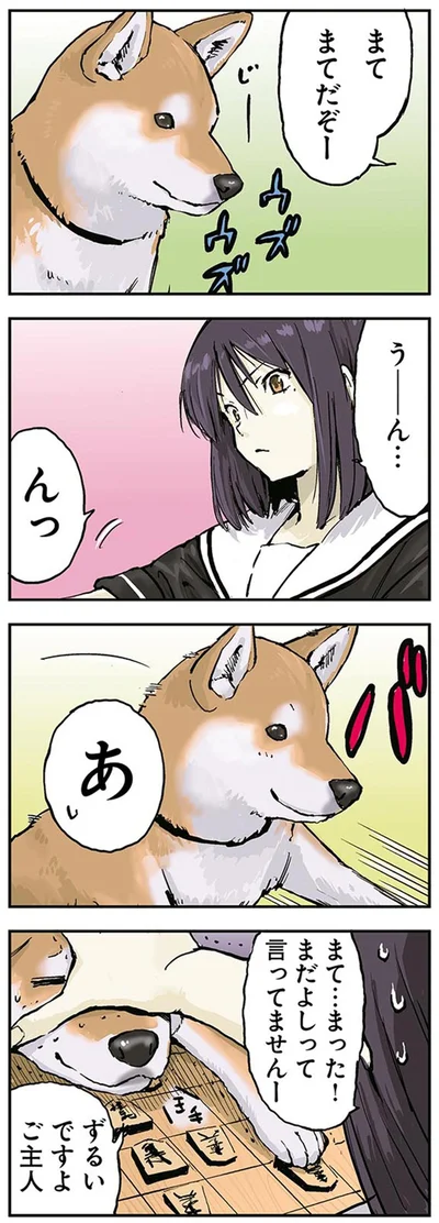 『世界の終わりに柴犬と』より