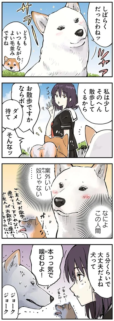 『世界の終わりに柴犬と』より