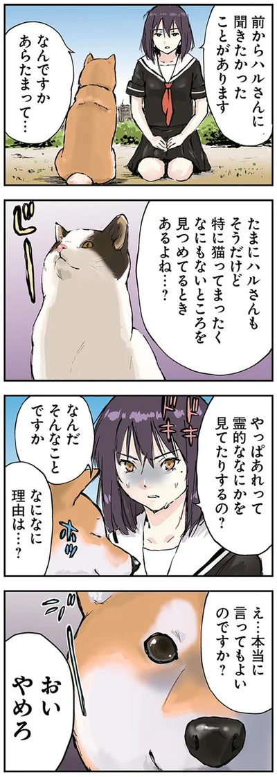 『世界の終わりに柴犬と』より