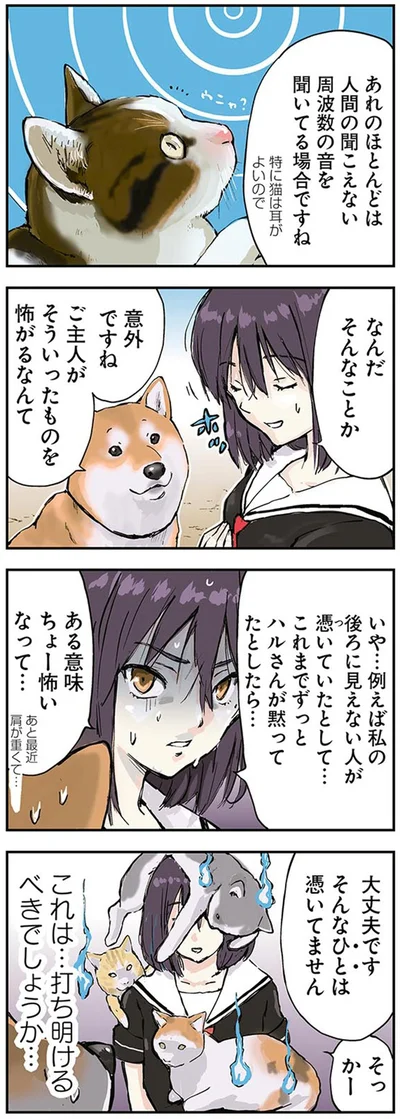 『世界の終わりに柴犬と』より