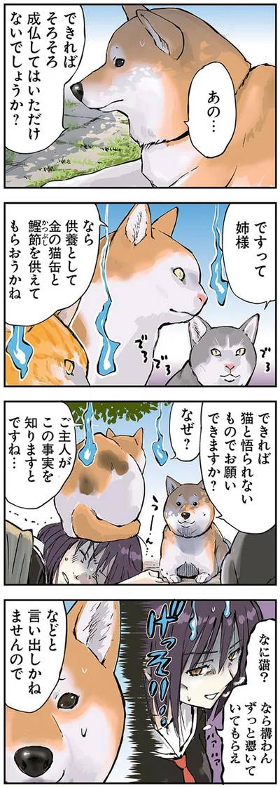 『世界の終わりに柴犬と』より