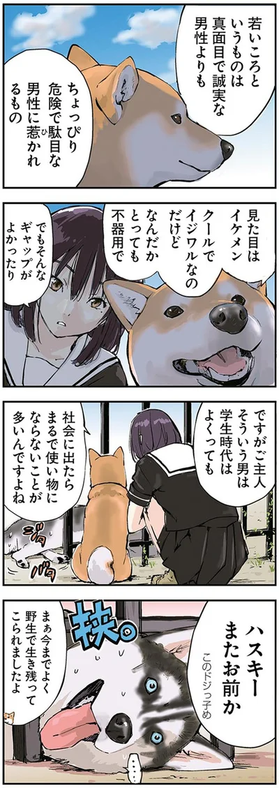 『世界の終わりに柴犬と』より