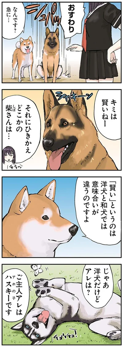 『世界の終わりに柴犬と』より