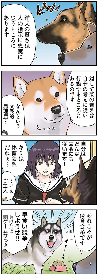 『世界の終わりに柴犬と』より