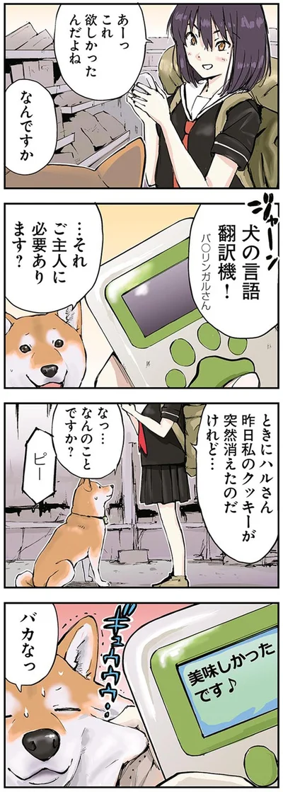 『世界の終わりに柴犬と』より