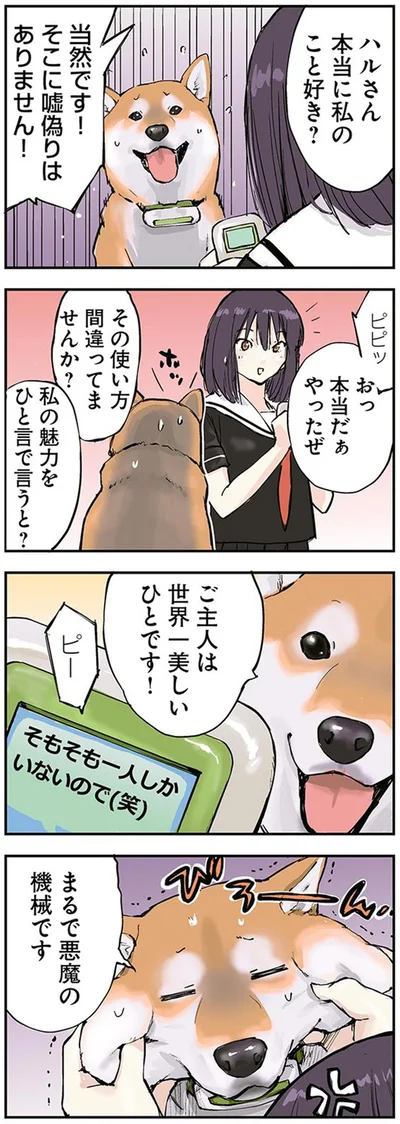 『世界の終わりに柴犬と』より