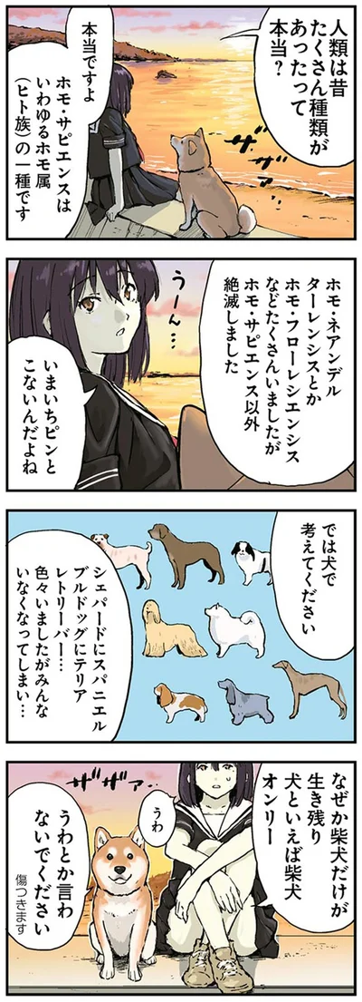 『世界の終わりに柴犬と2』より