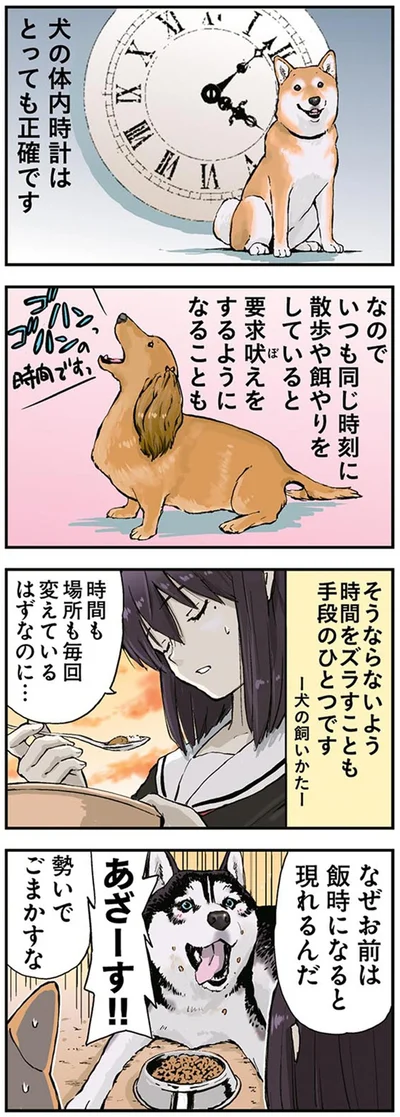 『世界の終わりに柴犬と2』より