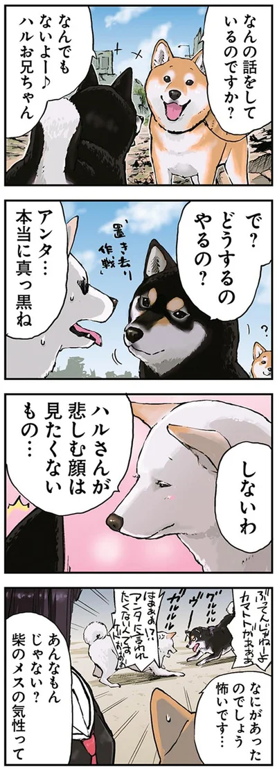 『世界の終わりに柴犬と2』より