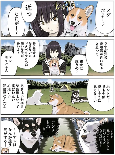 『世界の終わりに柴犬と2』より