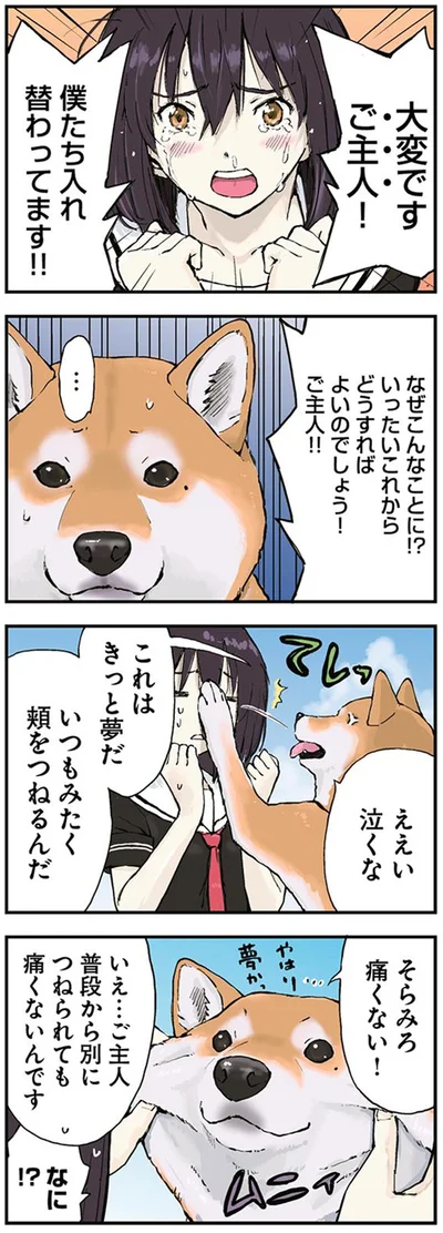 『世界の終わりに柴犬と2』より