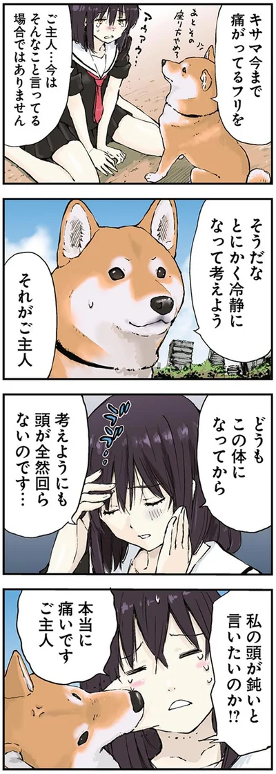 『世界の終わりに柴犬と2』より