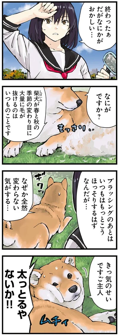 『世界の終わりに柴犬と3』より