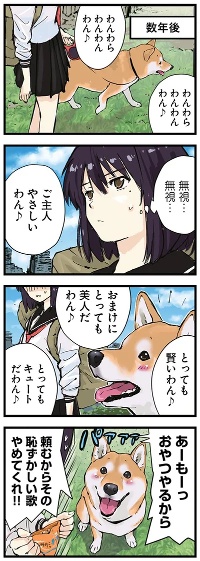 『世界の終わりに柴犬と3』より