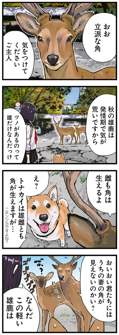 『世界の終わりに柴犬と3』より