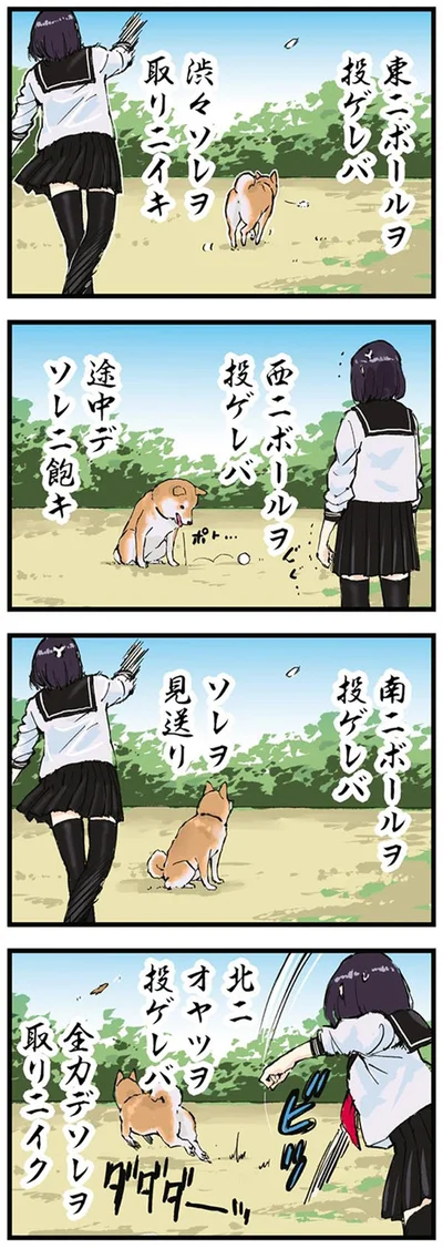 『世界の終わりに柴犬と3』より