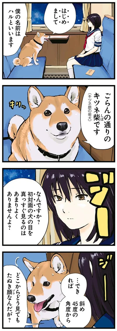 『世界の終わりに柴犬と4』より