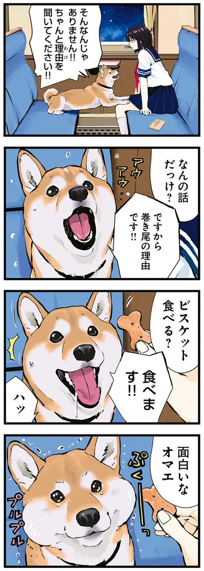 『世界の終わりに柴犬と4』より