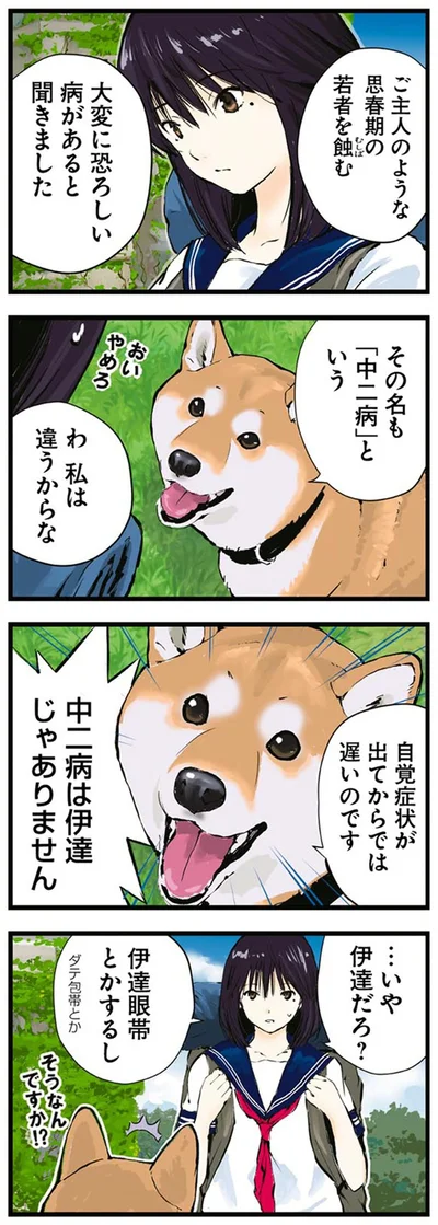 『世界の終わりに柴犬と4』より