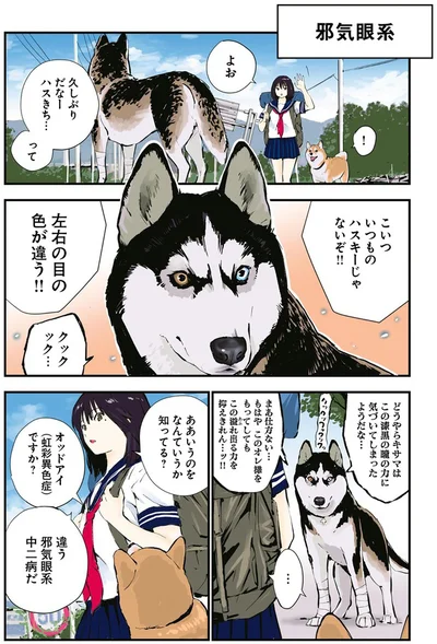 『世界の終わりに柴犬と4』より