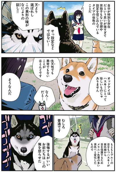 『世界の終わりに柴犬と4』より