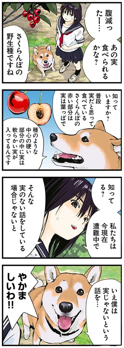 『世界の終わりに柴犬と4』より