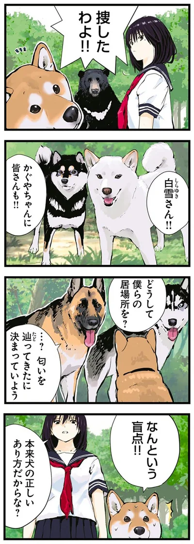 『世界の終わりに柴犬と4』より