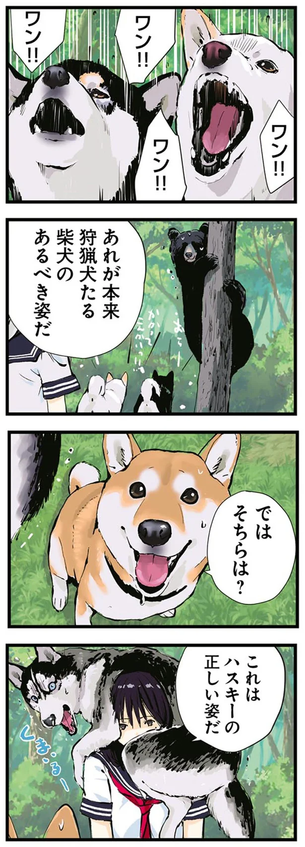 『世界の終わりに柴犬と4』より