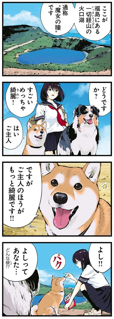 『世界の終わりに柴犬と4』より